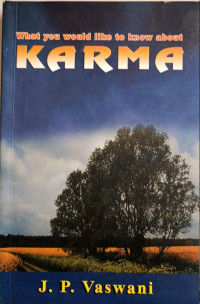 What You Would Like to Know About Karma